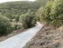 ΔΡΟΜΟΣ ΠΡΟΣ ΖΕΥΓΟΛΑΤΙΟ